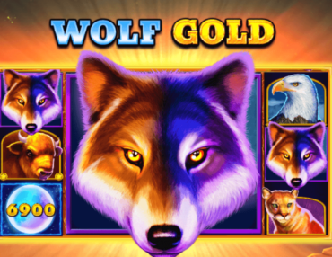 Wolf Gold – Tudo o que Você Precisa Saber